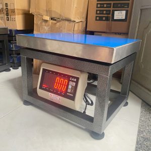 Cân điện tử Ghế Ngồi 300kg DH