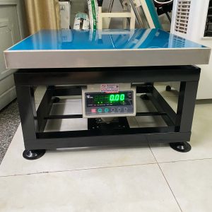 Cân Ghế Ngồi 500Kg DI-28ABS