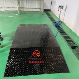 Cân Sàn Kèm Đầu Dốc 500Kg