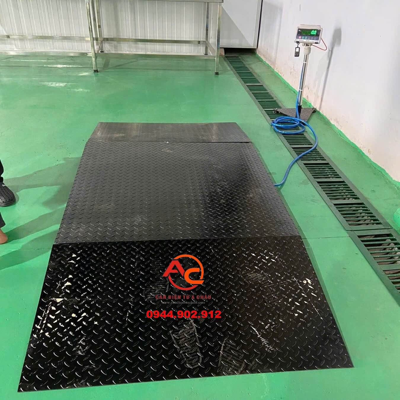 can-san-kem-dau-doc-500kg Cân Sàn Kèm Đầu Dốc 500Kg