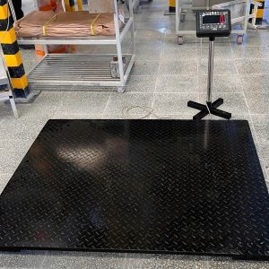 Cân Sàn Điện Tử 1 Tấn AE-P1