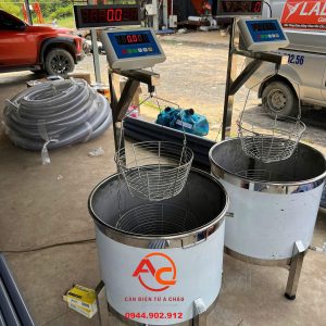 Cân Điểm Bột Mì Bột Sắn hàm Lượng Tinh Bột Mì