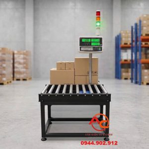 Cân Con Lăn 60Kg Kiểm Tra Số Lượng