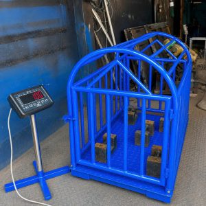 Cân Heo Điện Tử 2 Con T7E