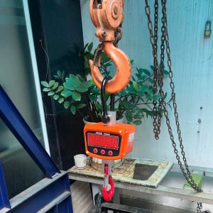 Cân Treo Điện Tử OCS 2T