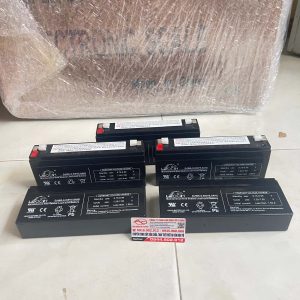 Pin cân Cub 6V5.0Ah